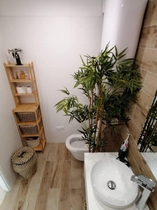 Superbe Studio Ethnique Apartment อิแยร์ ภายนอก รูปภาพ